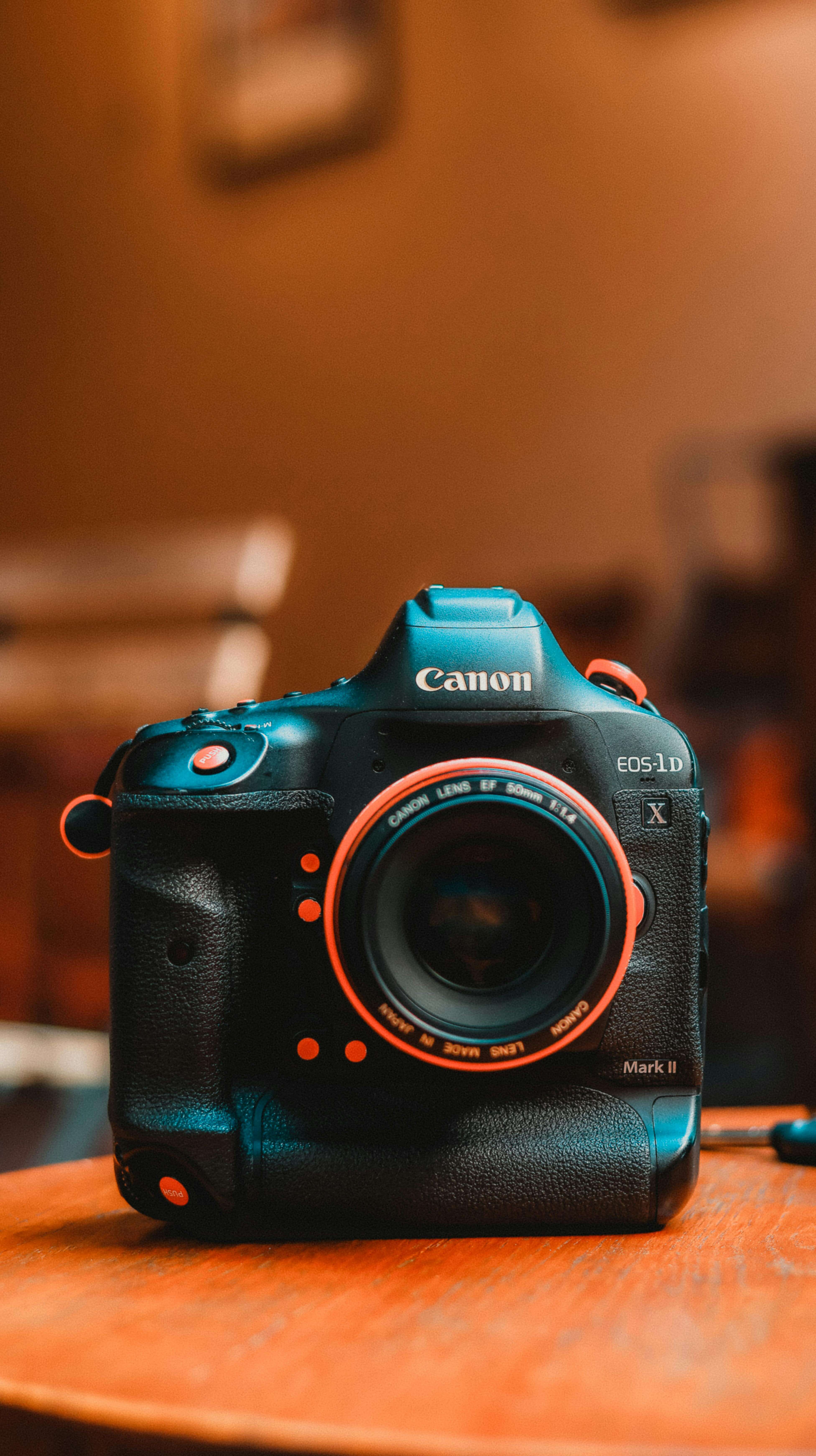 Portafolio de fotógrafo profesional