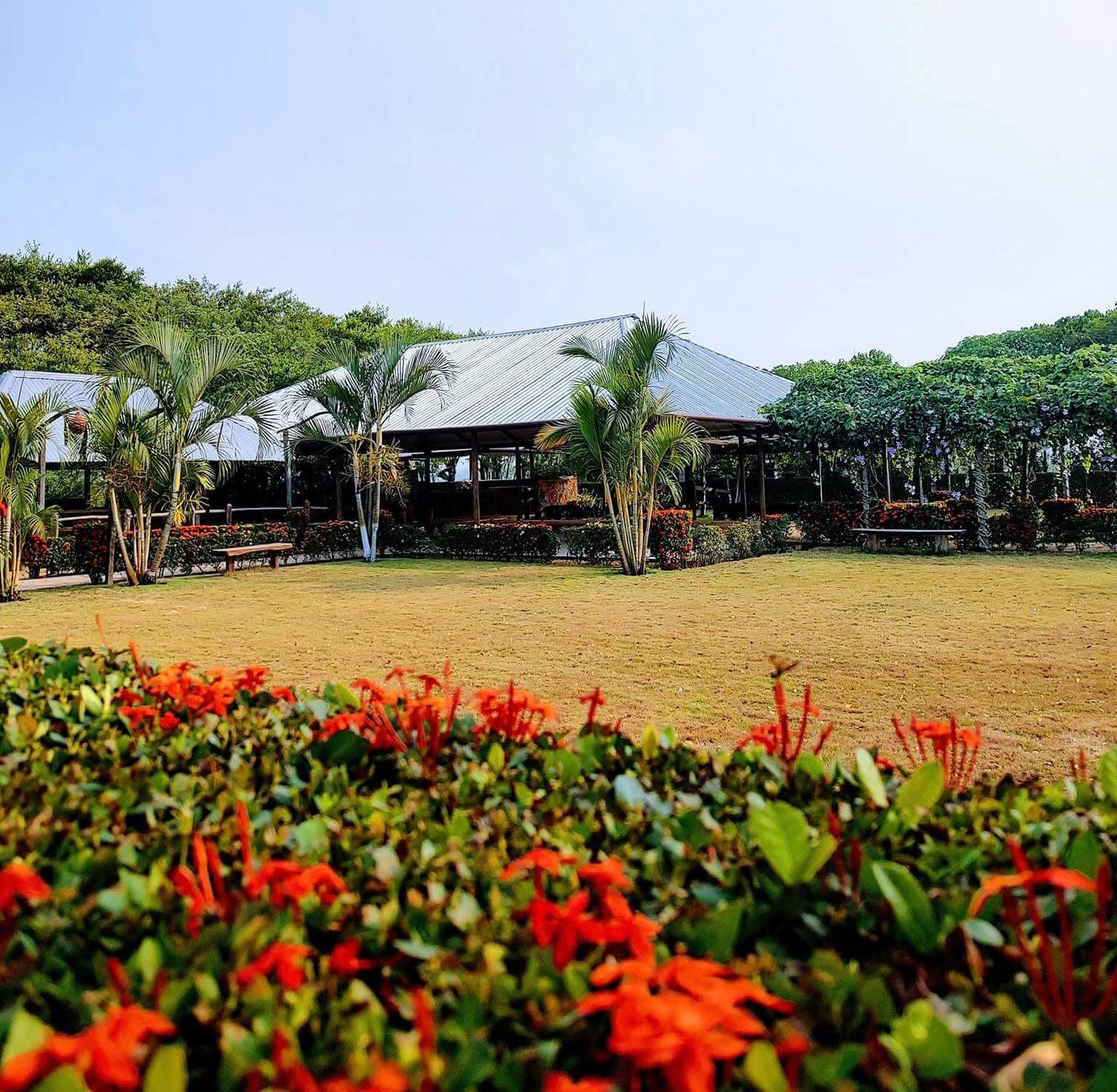 Jardín